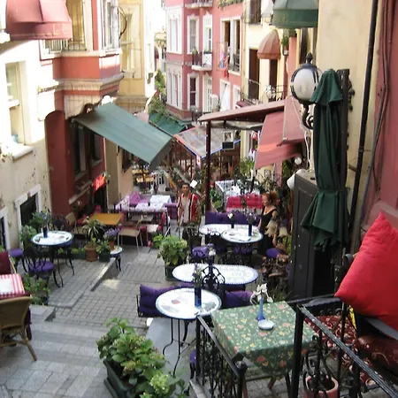 Jakaranda Istanbulská provincie