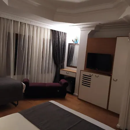 Jakaranda Provincia di Istanbul
